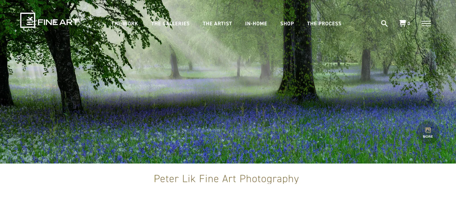 17. Peter Lik